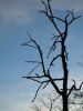 DSC03772.JPG