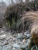 DSC03840.JPG