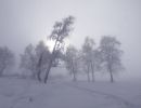 Файл=w_DSCF7076.jpg
Объём=66KB
Размеры=1280x978
Дата=Нояб 13, 2006 w_DSCF7076.jpg