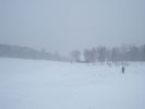 P1090005.JPG
