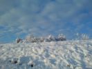 DSC00068.jpg