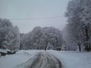 Файл=DSC00117.jpg
Объём=188KB
Размеры=1024x768
Дата=Нояб 29, 2006 DSC00117.jpg