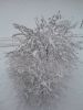 Файл=DSC00127.jpg
Объём=181KB
Размеры=768x1024
Дата=Нояб 29, 2006 DSC00127.jpg