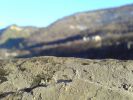 Файл=DSC00173.jpg
Объём=230KB
Размеры=1024x768
Дата=Нояб 29, 2006 DSC00173.jpg