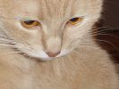 DSC01422.JPG