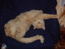 DSC06668.jpg