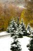 Файл=19oct.jpg
Объём=143KB
Размеры=676x1024
Дата=Окт 21, 2005 19oct.jpg