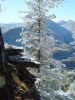 DSC08428~0.jpg