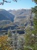 DSC08437~0.jpg