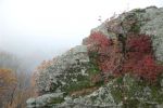 Файл=DSC_0106.JPG
Объём=66KB
Размеры=640x426
Дата=Нояб 29, 2005 DSC_0106.JPG