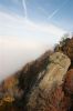 Файл=DSC_0110.JPG
Объём=34KB
Размеры=319x480
Дата=Нояб 29, 2005 DSC_0110.JPG