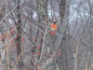 DSC03919.JPG