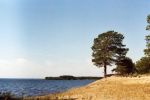 Файл=karelia_014.jpg
Объём=402KB
Размеры=1667x1106
Дата=Сент 11, 2007 karelia_014.jpg