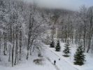 Файл=050103.jpg
Объём=274KB
Размеры=800x600
Дата=Янв 03, 2005 050103.jpg