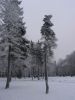 Файл=овий год2006 353.jpg
Объём=443KB
Размеры=768x1024
Дата=Апр 12, 2006 овий год2006 353.jpg