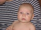 овий год2006 570.jpg
