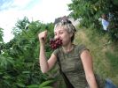 Файл=Cherry.jpg
Объём=139KB
Размеры=1024x768
Дата=Июль 15, 2007 Cherry.jpg