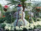DSCF0006.JPG