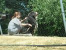dscf0056.jpg