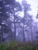 Файл=DSCN6125.JPG
Объём=339KB
Размеры=1200x1600
Дата=Дек 02, 2005 DSCN6125.JPG