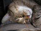 Файл=Изображение 031.jpg
Объём=280KB
Размеры=796x595
Дата=Май 30, 2006 Изображение 031.jpg