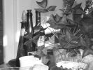 100_0019.JPG