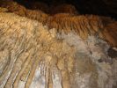 DSC03978.JPG